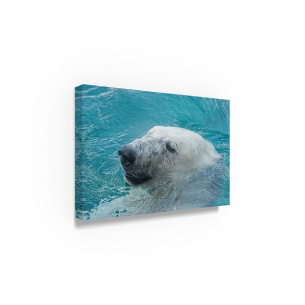 Robert Michaud 'Polar Bear Hiding' Canvas Art,30x47
